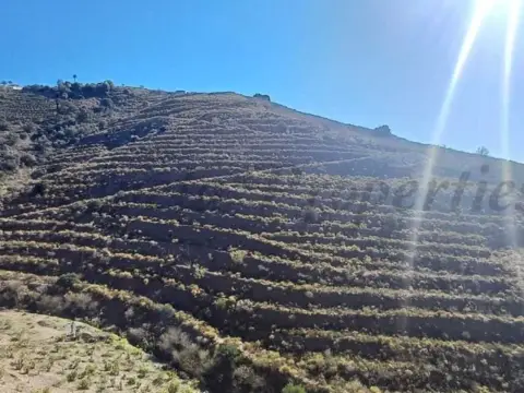 Terreno en Torrox Park