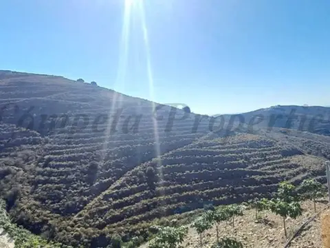 Terreno en Torrox Park