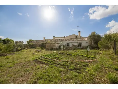 Finca rústica en Alayor