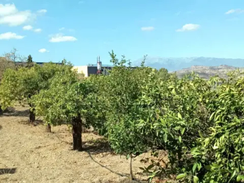 Finca rústica en Coín