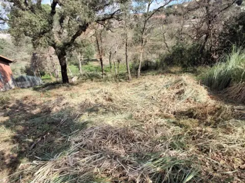 Terreno en Maçanet de La Selva