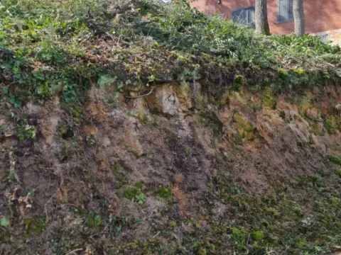 Terreno en Maçanet de La Selva