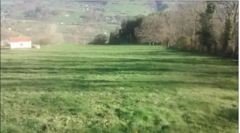 Finca rústica en Pueblo