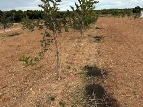Finca rústica en Onda