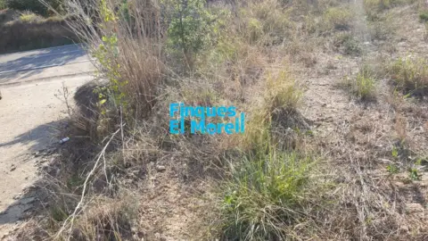 Finca rústica en Vilallonga del Camp