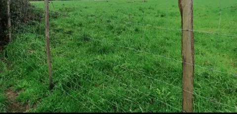 Finca rústica en Bádames