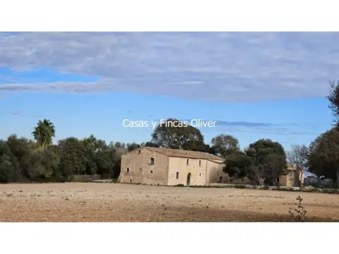 Finca rústica en Llubi