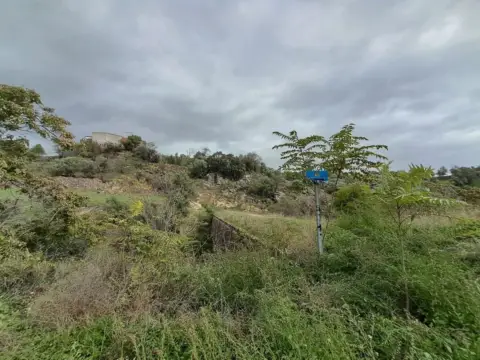 Finca rústica en calle Poligono 19-Rustica 59(P)