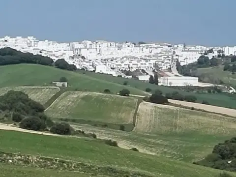 Finca rústica en Nueva Zona