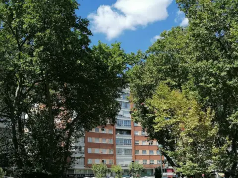 Piso en Plaza Circular