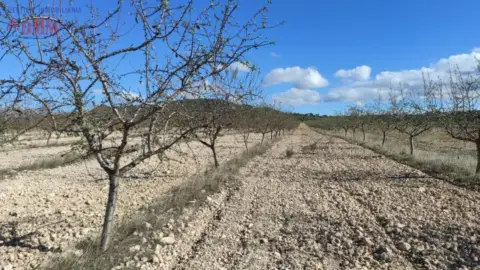 Finca rústica en Tobarra