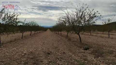 Finca rústica en Tobarra