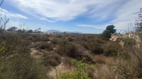 Finca rústica en Crevillent