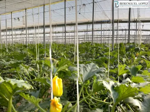 Finca rústica en Carretera de Hirmes