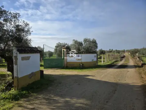 Finca rústica en Pilas