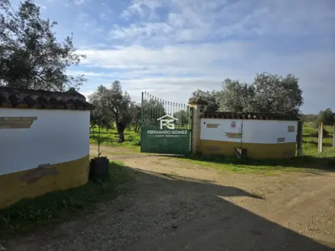 Finca rústica en Pilas