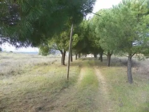 Finca rústica en Almorox