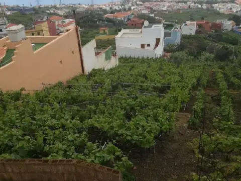 Finca rústica en Santa Úrsula