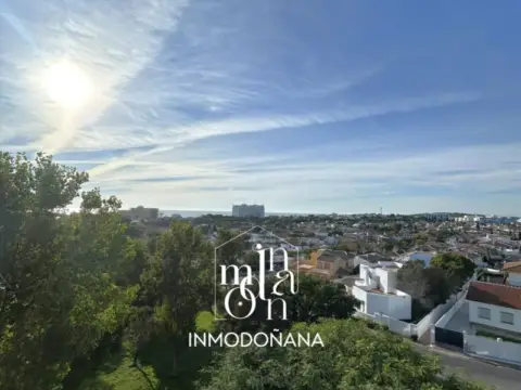 Estudio en Sector Laguna de Sopetón