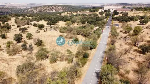Finca rústica en Carretera Palacio de Riofrio