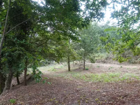 Finca rústica en Morgadanes