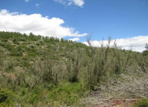 Finca rústica en calle La Loma