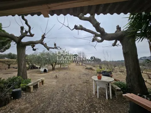 Finca rústica en Riudoms