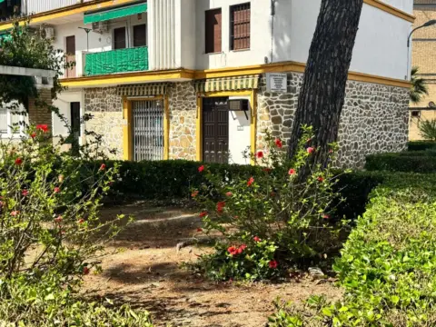 Local comercial en Palma del Rio