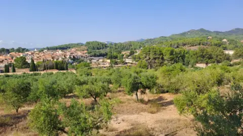 Finca rústica en Riudecanyes