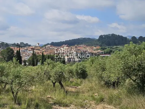Finca rústica en Riudecanyes