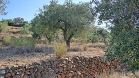 Finca rústica en Riudecanyes