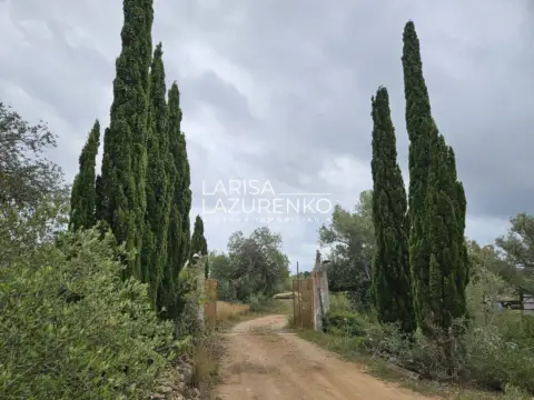 Finca rústica en Ametlla de Mar (L`)