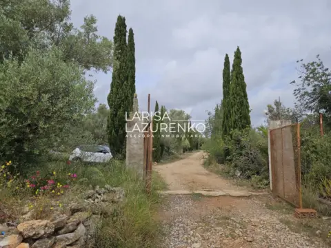 Finca rústica en Ametlla de Mar (L`)