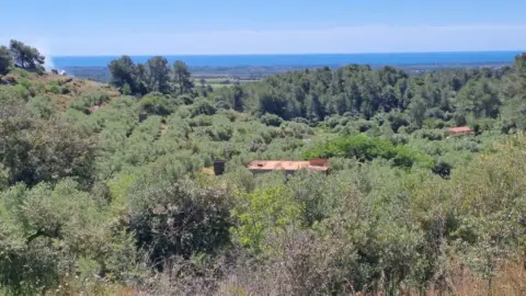 Finca rústica en Riudecanyes