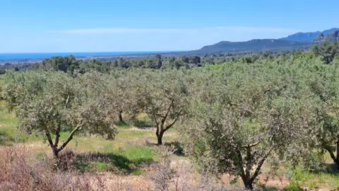 Finca rústica en Riudecanyes