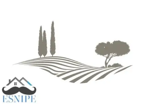 Finca rústica en Ricote