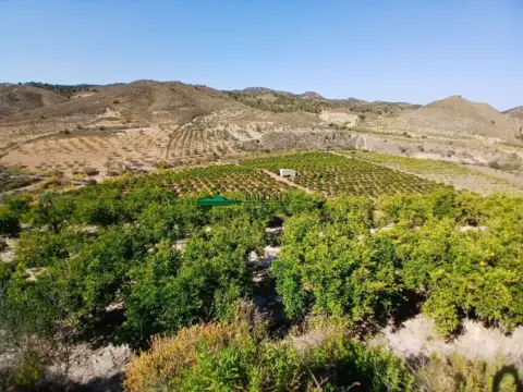 Finca rústica en Camino Juan Cebadas