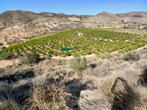 Finca rústica en Camino Juan Cebadas