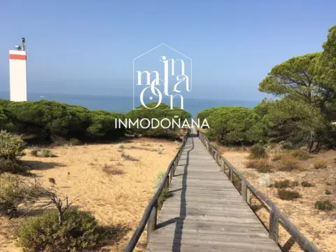 Estudio en Sector Ánade Real