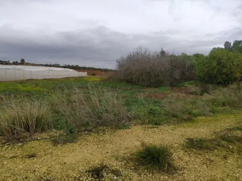 Finca rústica en Chiclana de La Frontera