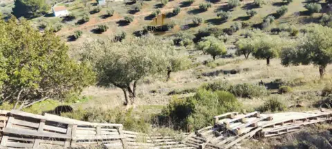 Finca rústica en Afueras de Jaén - Antigua Crtra. Granada