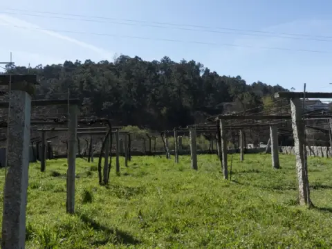 Terreno en Porriño (O) - Budiño