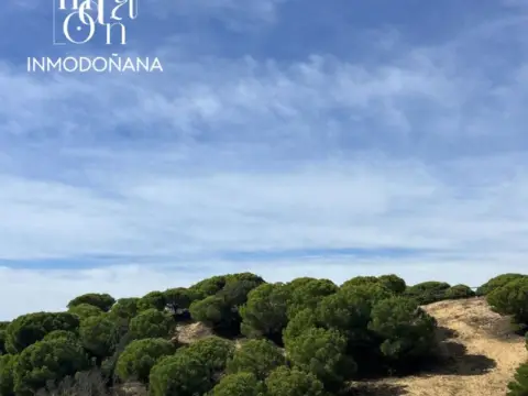 Estudio en Centro - Sector A