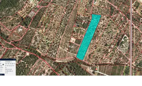 Finca rústica en Alcanar-Platja - Maricel