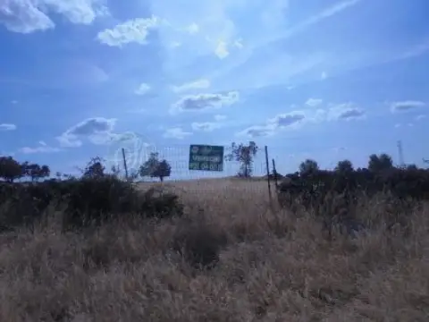 Terreno en calle Vino