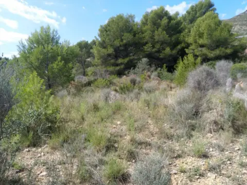 Terreno en calle 5 - Coniller