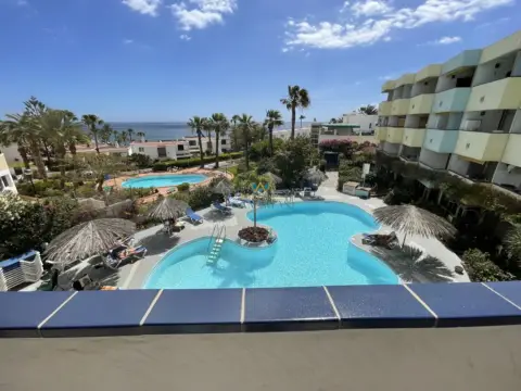 Estudio en Playa del Aguila