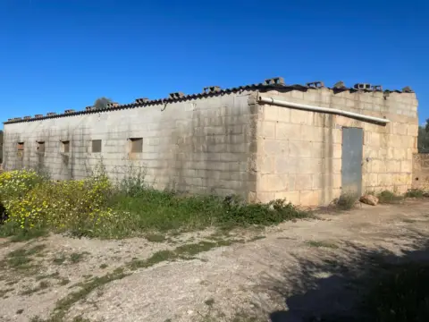Nave industrial en calle Carrer de Sineu, nº 8