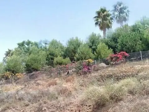 Finca rústica en Castillo Bentomiz