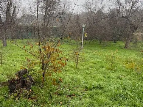 Terreno en calle de Alcaudón